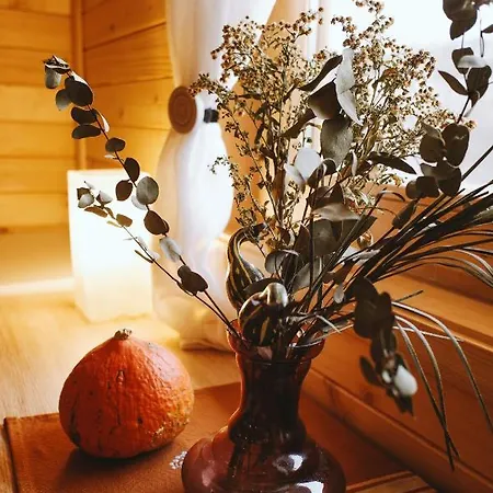 Brvnaria Holiday home *